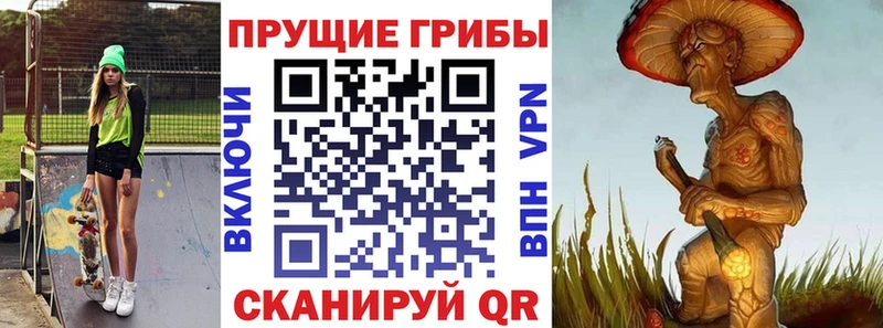 Псилоцибиновые грибы ЛСД  купить закладку  Бердск 
